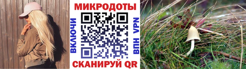 Псилоцибиновые грибы прущие грибы где купить Пугачёв